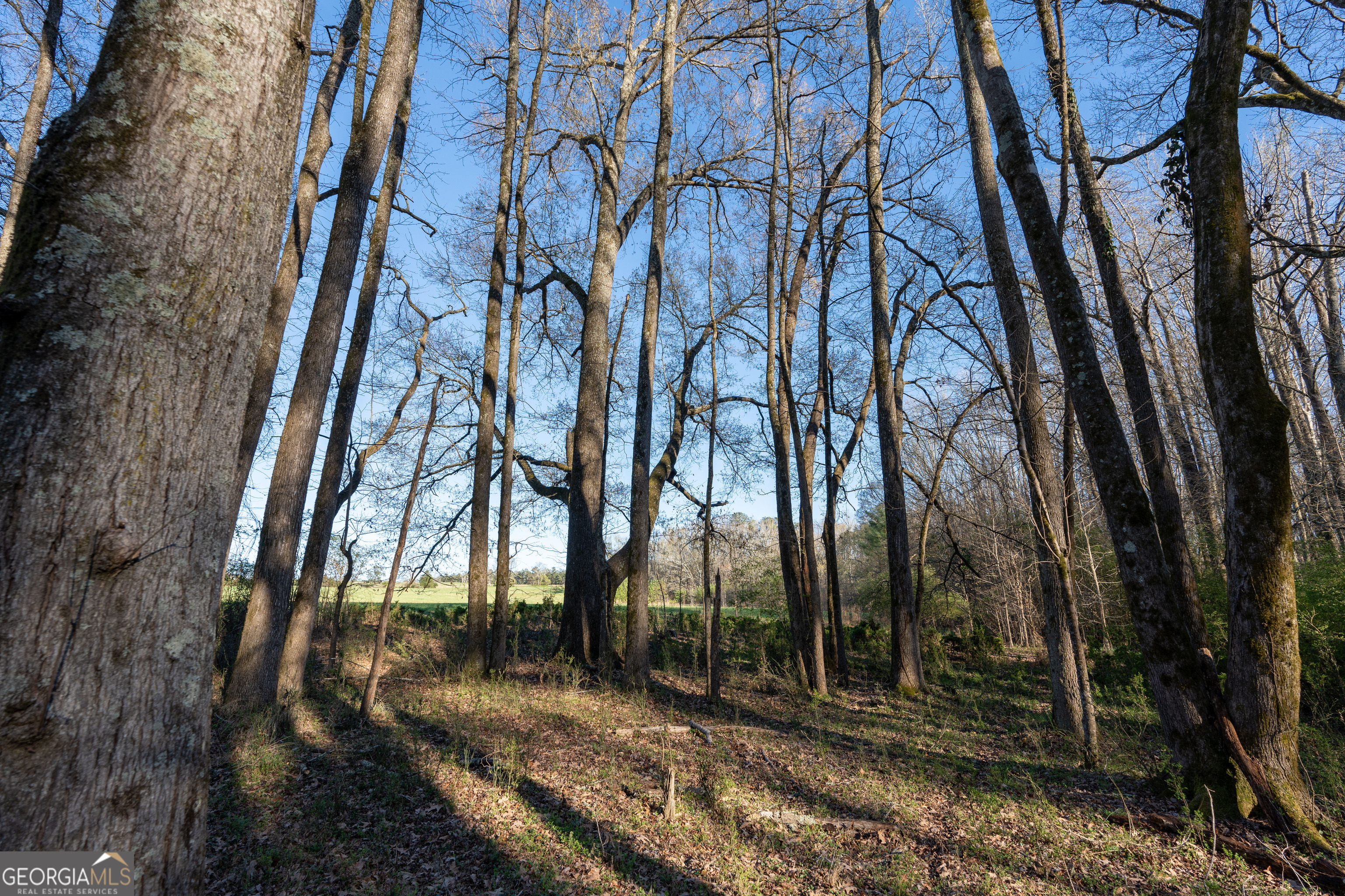 40 Meadow Trail Property Photo 59