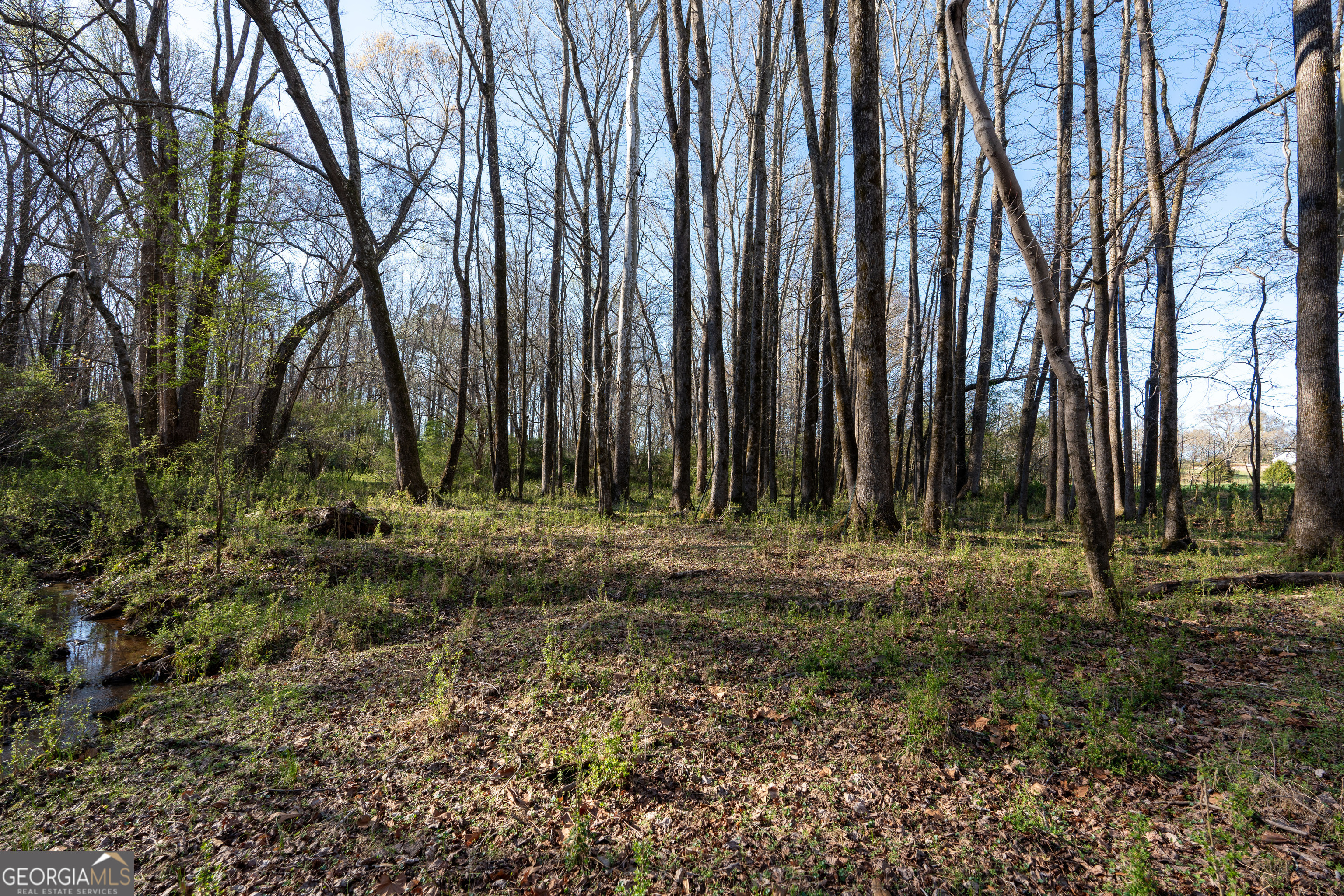 40 Meadow Trail Property Photo 66