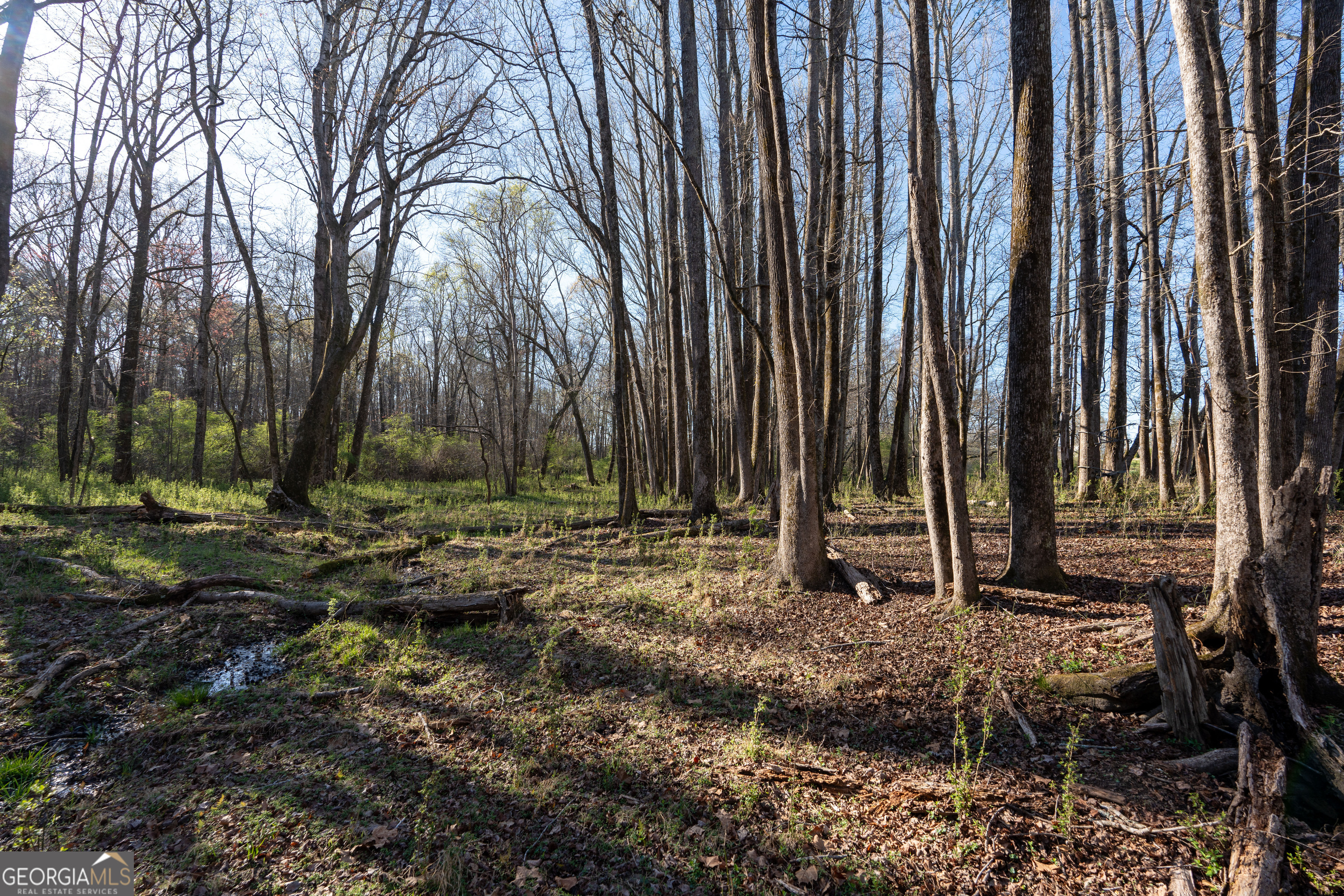 40 Meadow Trail Property Photo 70
