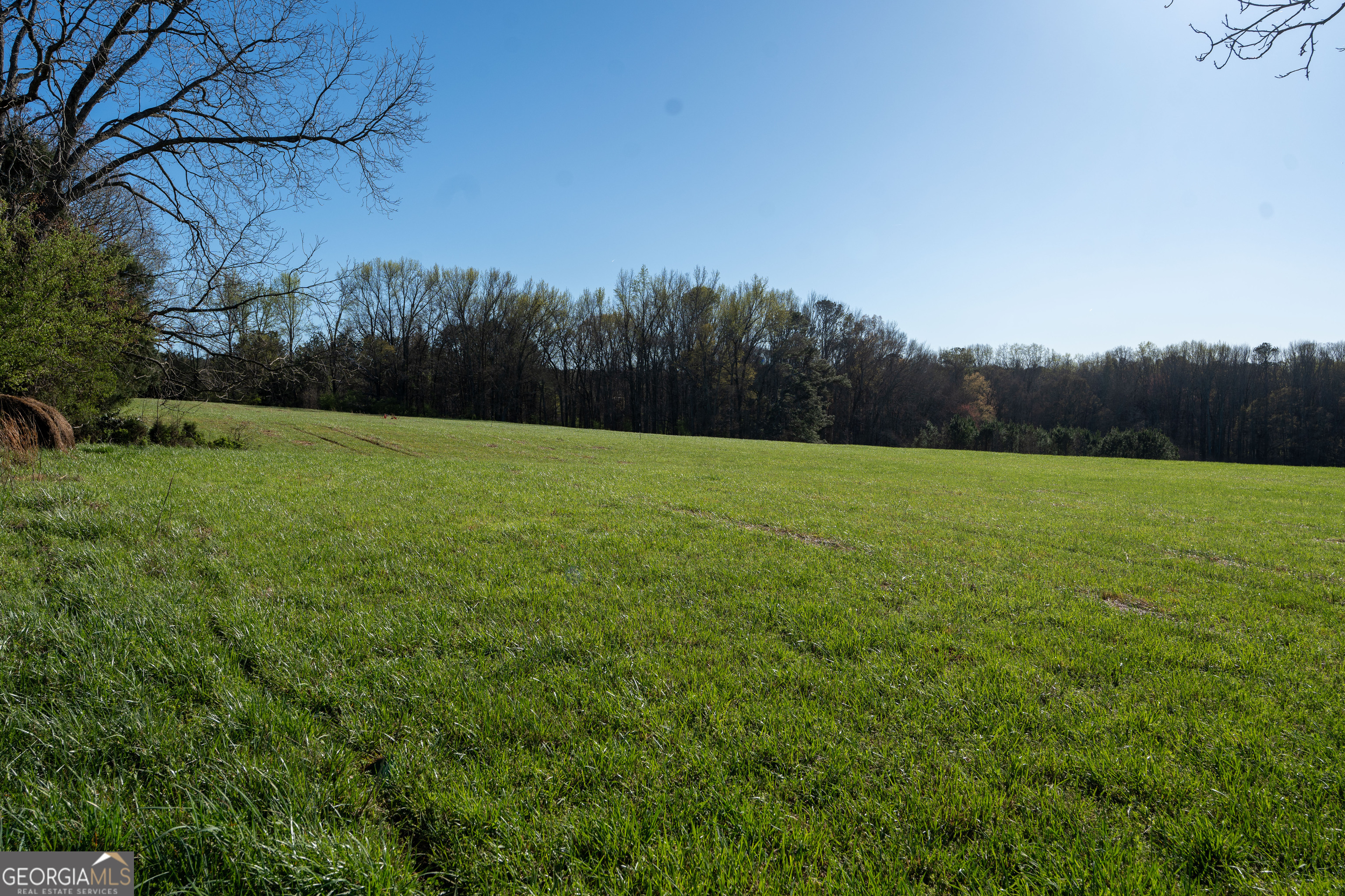 40 Meadow Trail Property Photo 77