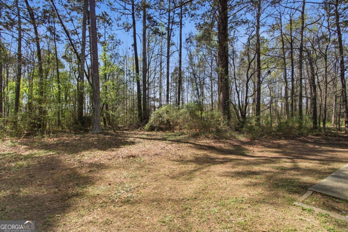 1717 Pinto Trail Property Photo 24