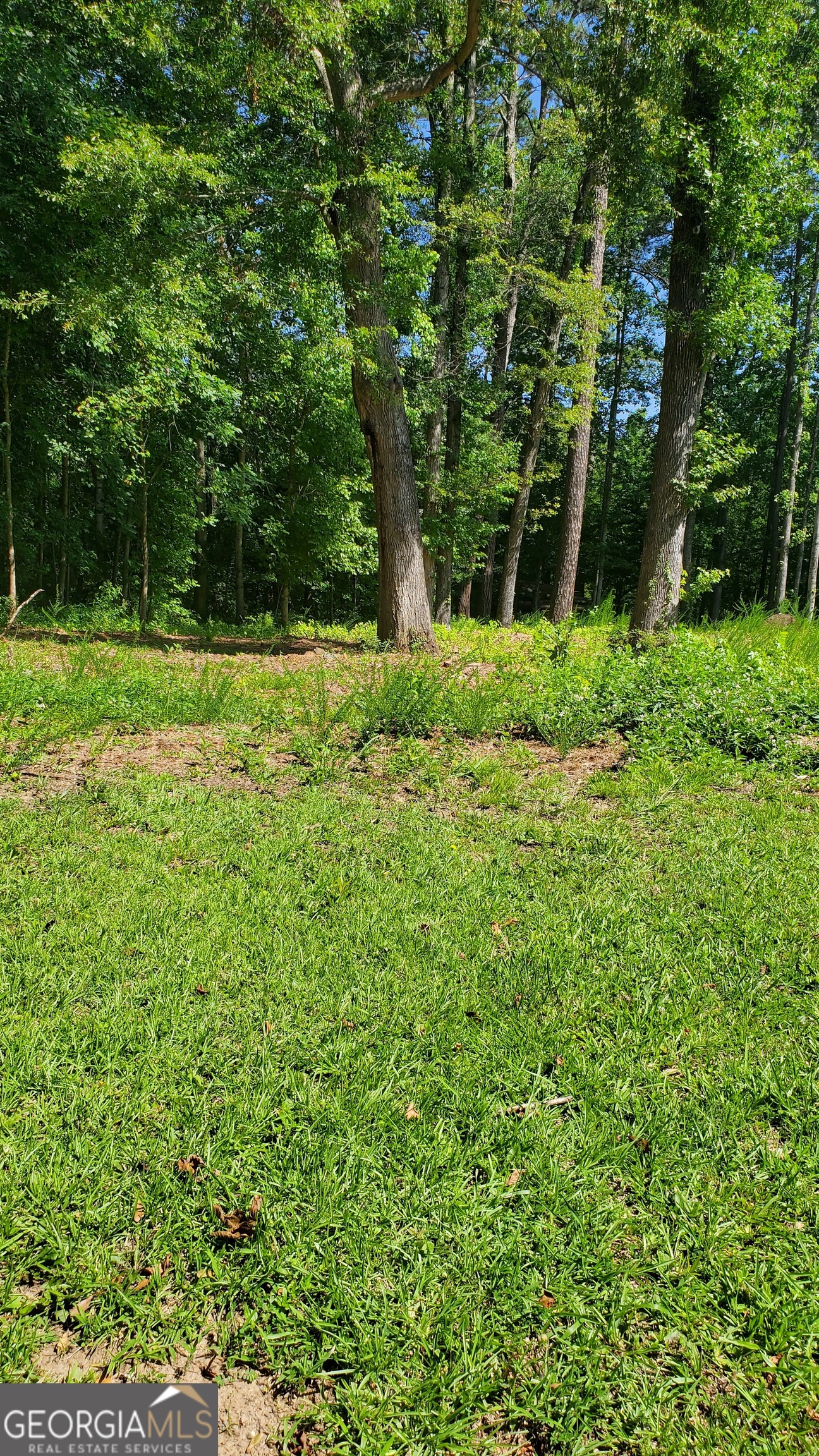 0 La Mancha Drive Property Photo 4