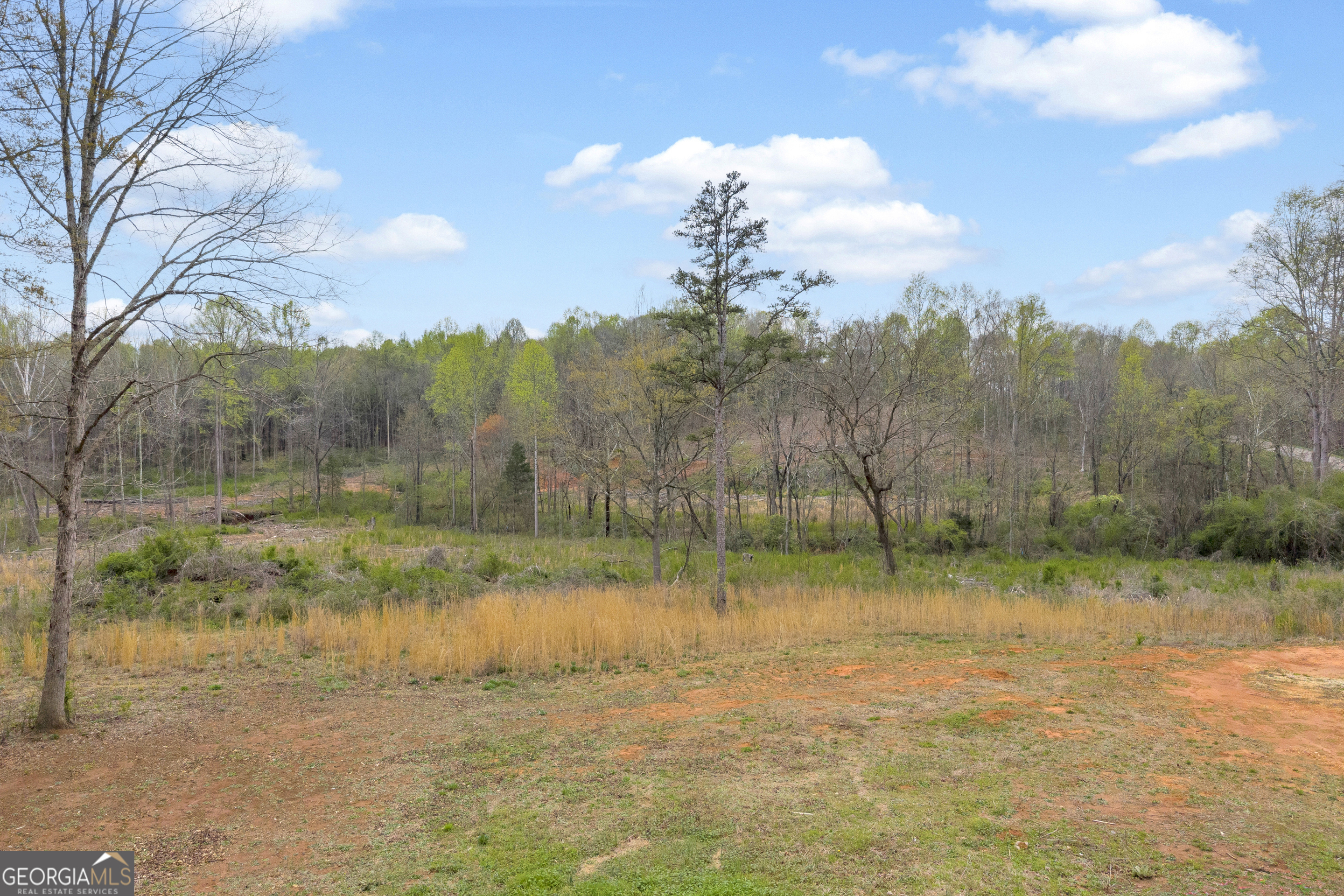 1934 Pleasant Hill Road Property Photo 17