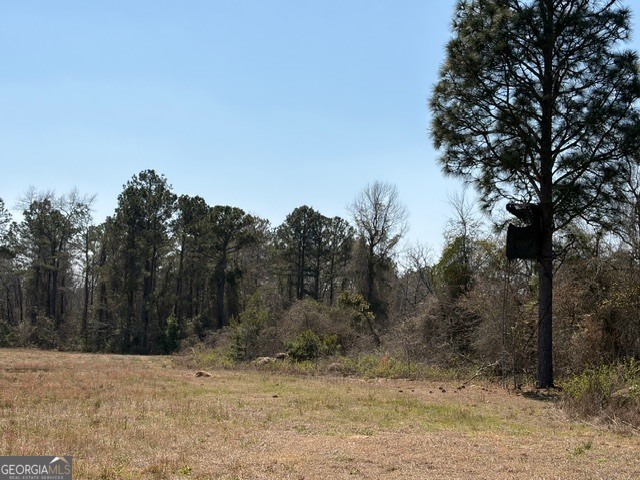 461 Currington Road Property Photo 1