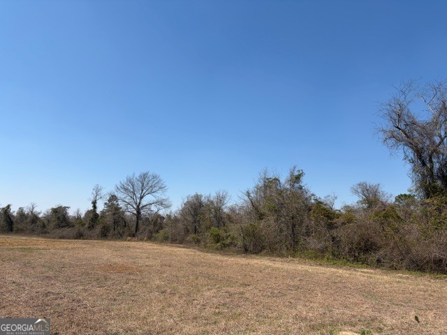 461 Currington Road Property Photo 2