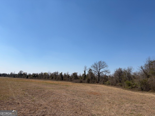 461 Currington Road Property Photo 3