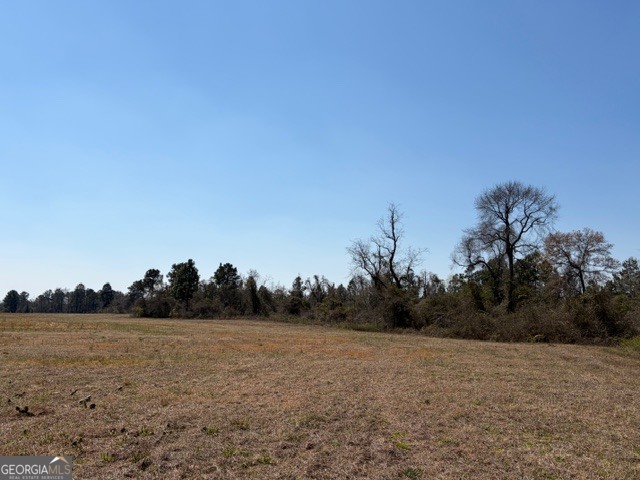 461 Currington Road Property Photo 4