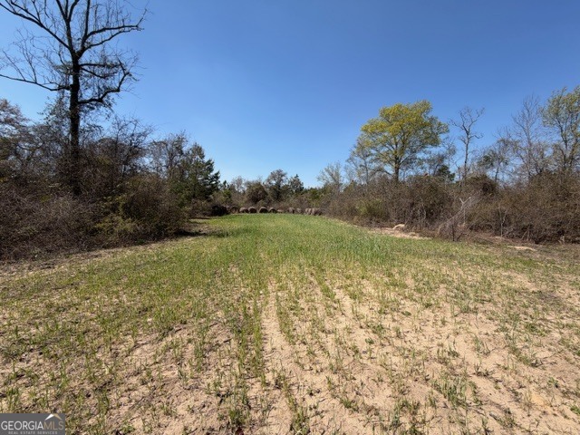 461 Currington Road Property Photo 5