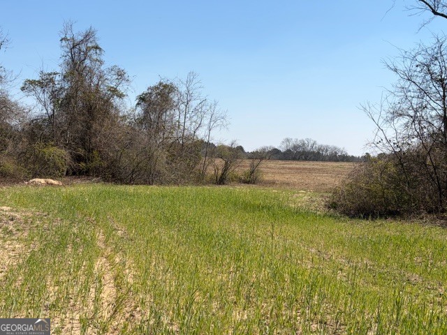 461 Currington Road Property Photo 6