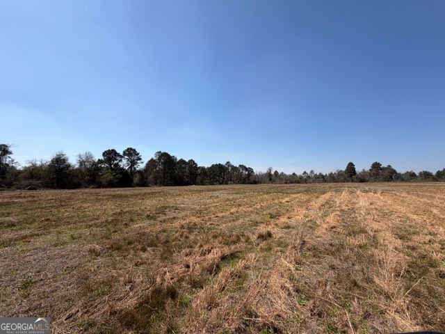 461 Currington Road Property Photo 8