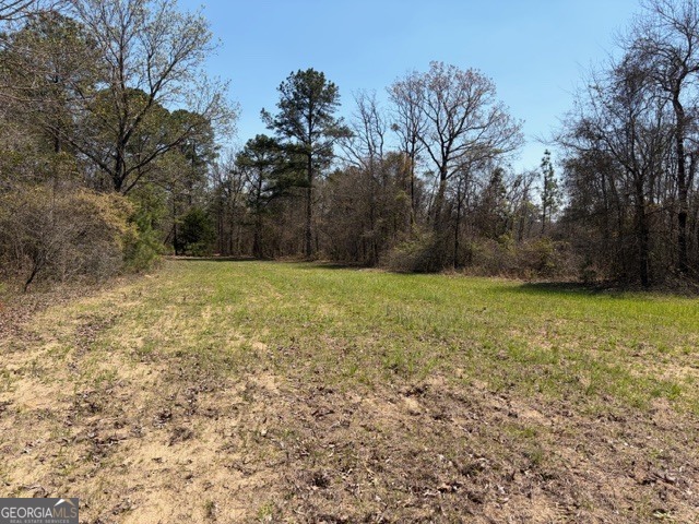 461 Currington Road Property Photo 10