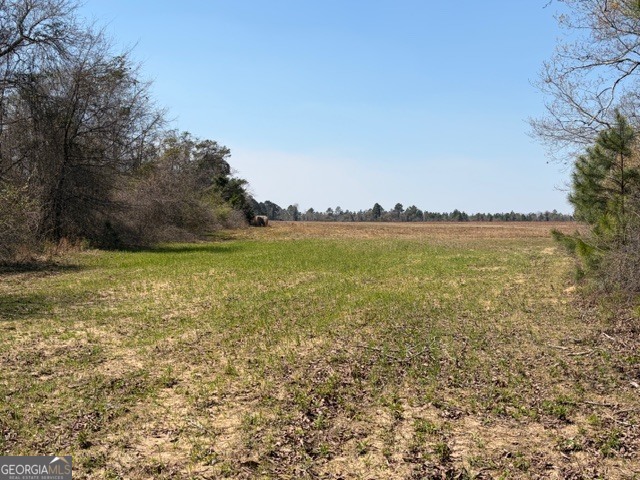 461 Currington Road Property Photo 11