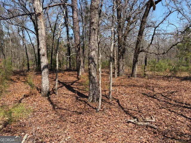 461 Currington Road Property Photo 13