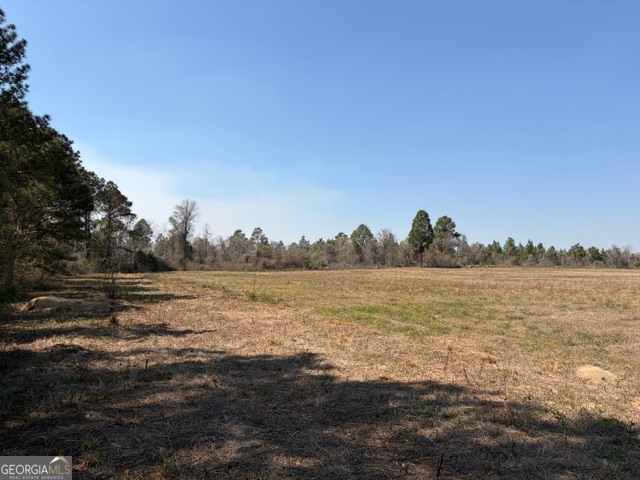461 Currington Road Property Photo 26