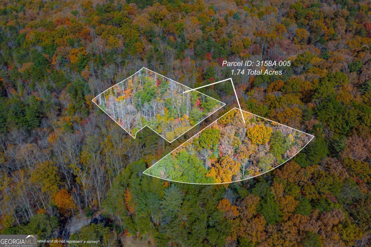 0 Willard Mountain Road Property Photo 1