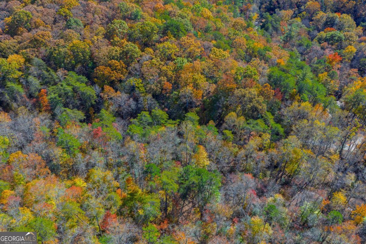 0 Willard Mountain Road Property Photo 3