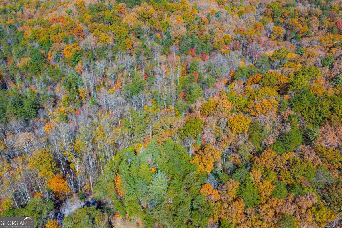 0 Willard Mountain Road Property Photo 4