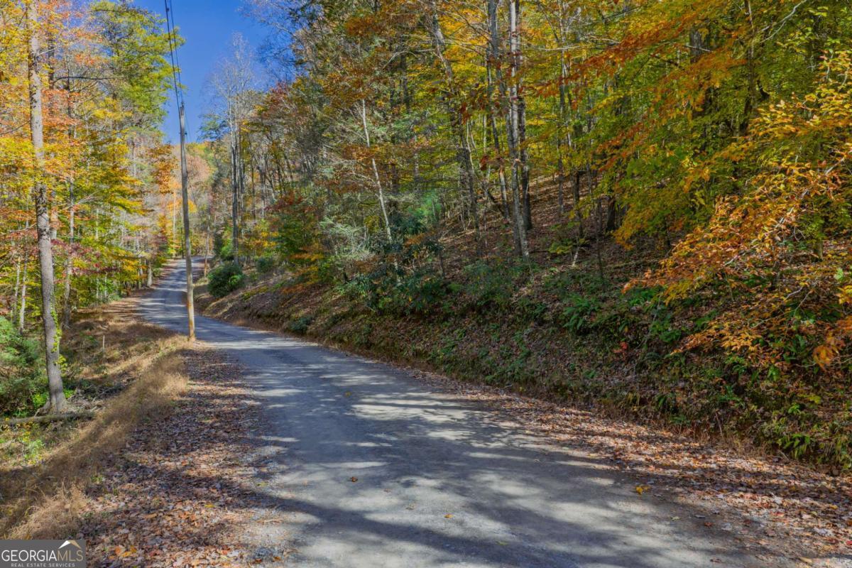 0 Willard Mountain Road Property Photo 6