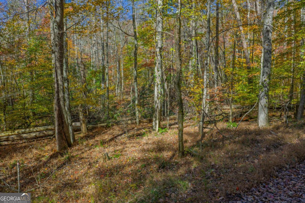 0 Willard Mountain Road Property Photo 7