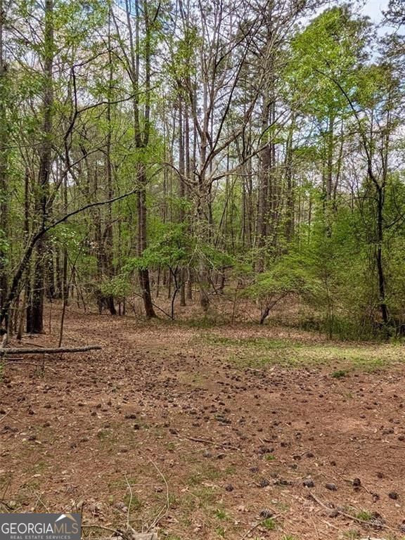 16040 Henderson Road Property Photo 9