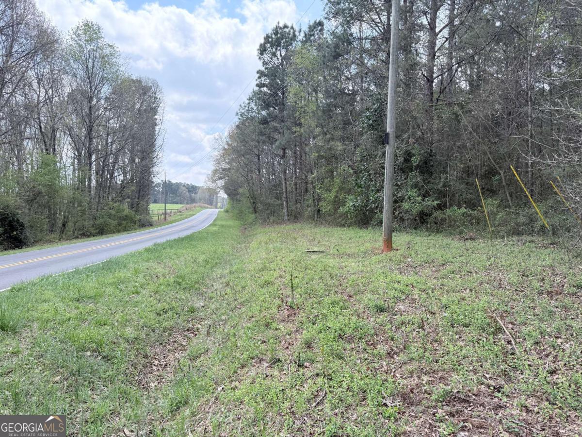 0 Old Columbus Road Property Photo 2