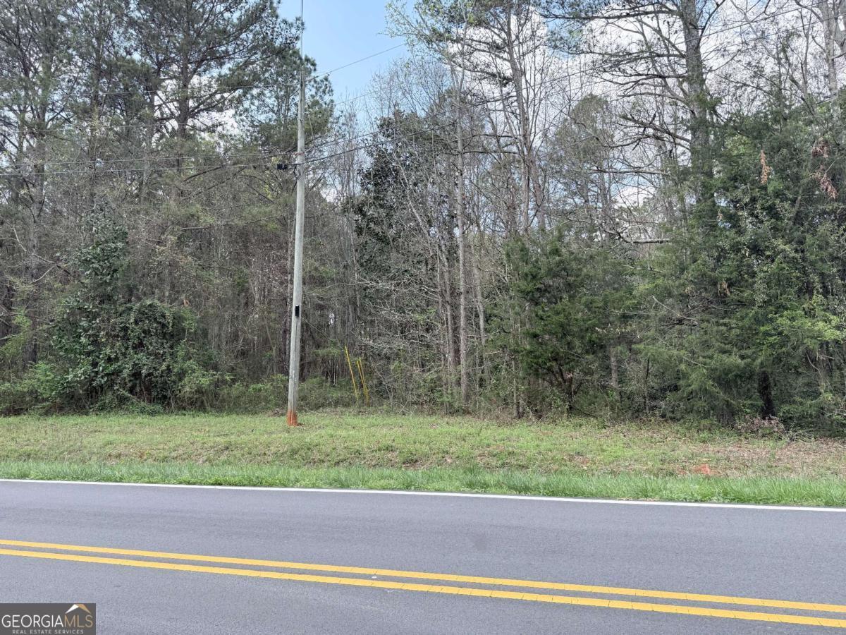 0 Old Columbus Road Property Photo 3