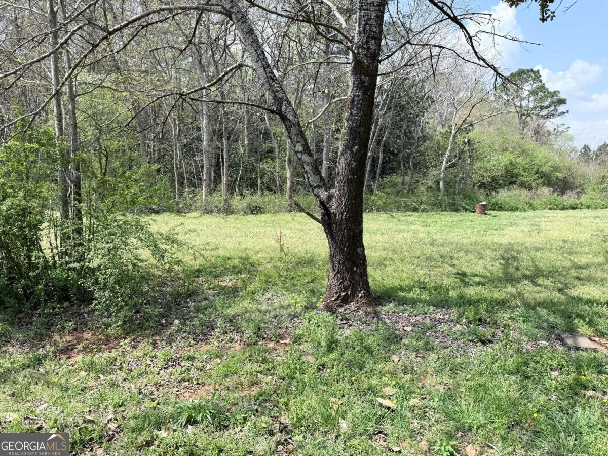 0 Old Columbus Road Property Photo 4