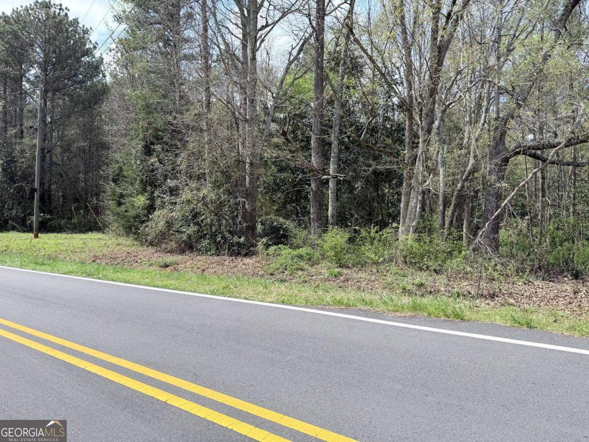 0 Old Columbus Road Property Photo 5