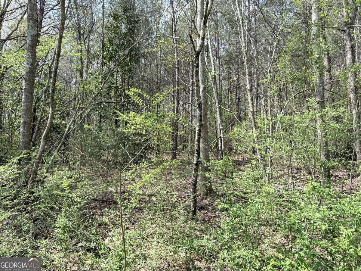 0 Old Columbus Road Property Photo 7