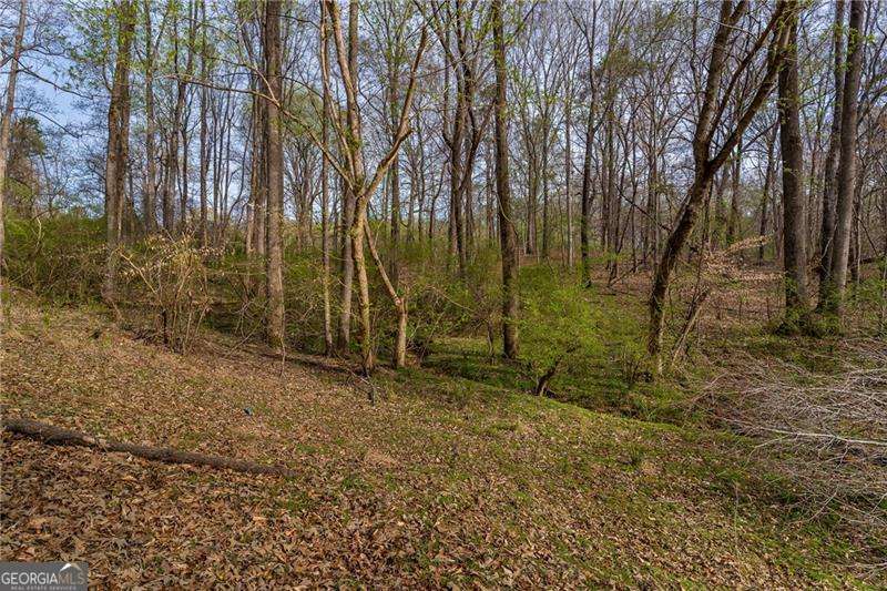 344 Jesse Martin Trail Property Photo 4