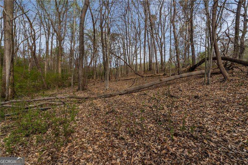 344 Jesse Martin Trail Property Photo 5