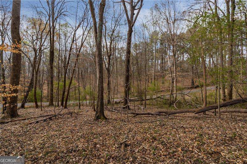 344 Jesse Martin Trail Property Photo 6