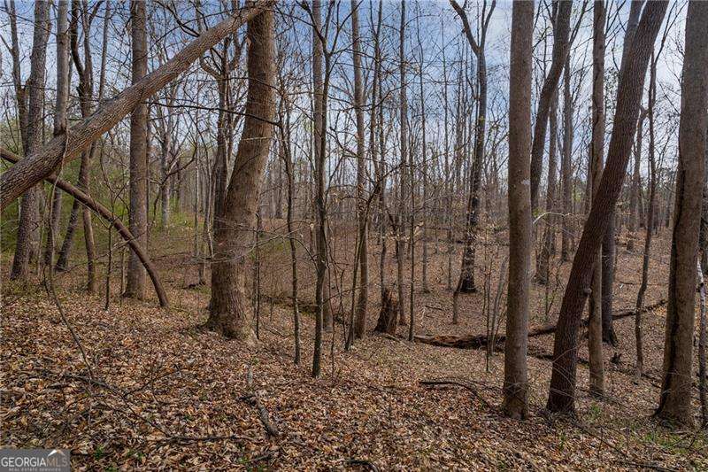 344 Jesse Martin Trail Property Photo 7