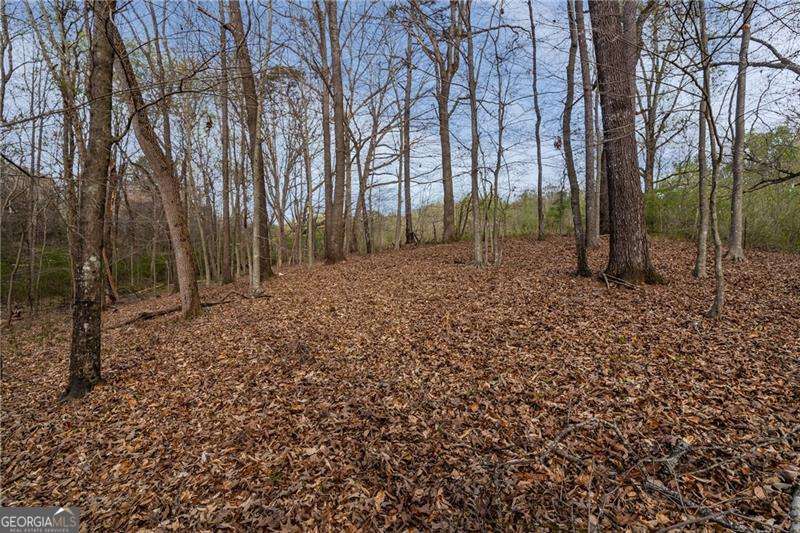 344 Jesse Martin Trail Property Photo 8