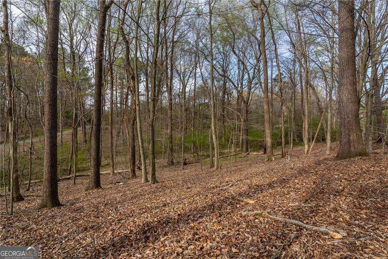 344 Jesse Martin Trail Property Photo 9