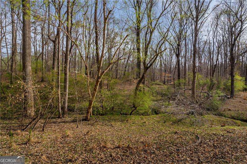 344 Jesse Martin Trail Property Photo 10