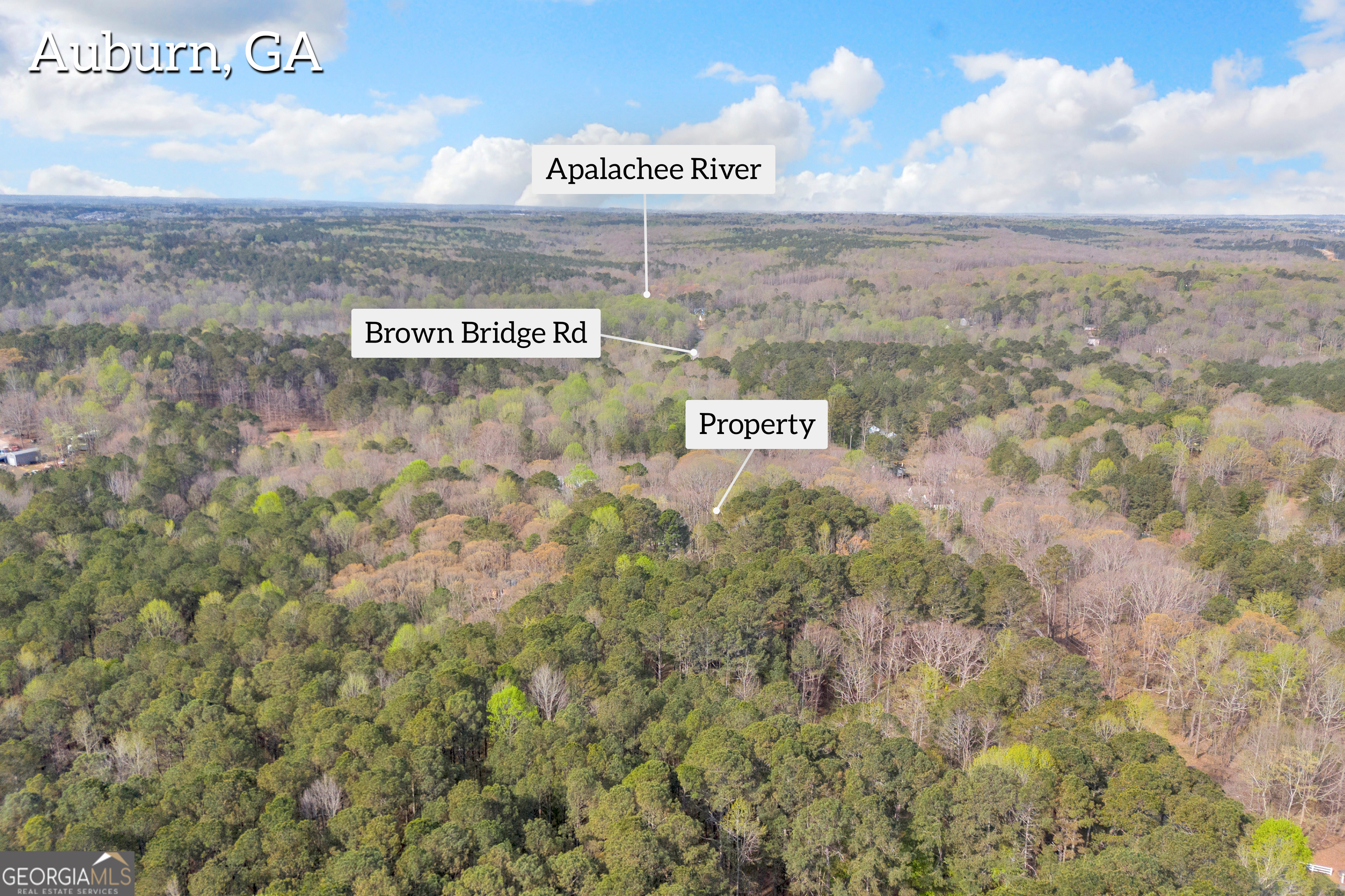 0 Brown Bridge Road Property Photo 4