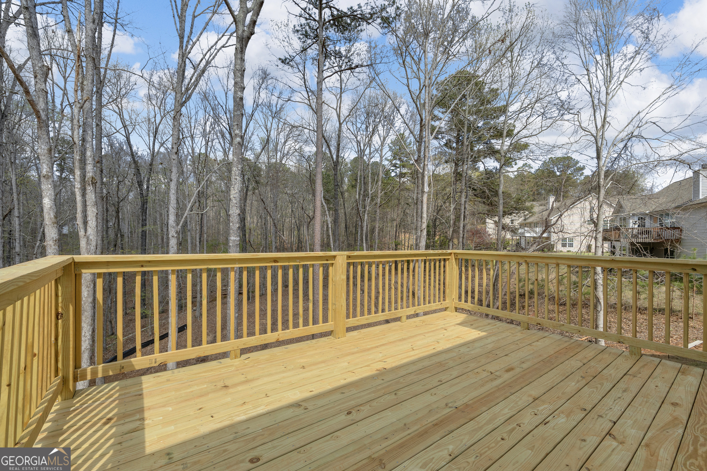 1235 Morgans Run Property Photo 34