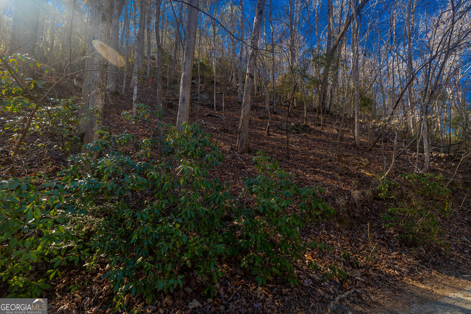 0 Fugue Drive Property Photo 4
