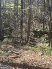 10996 Shannon Circle Property Photo 1