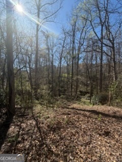 10996 Shannon Circle Property Photo 4