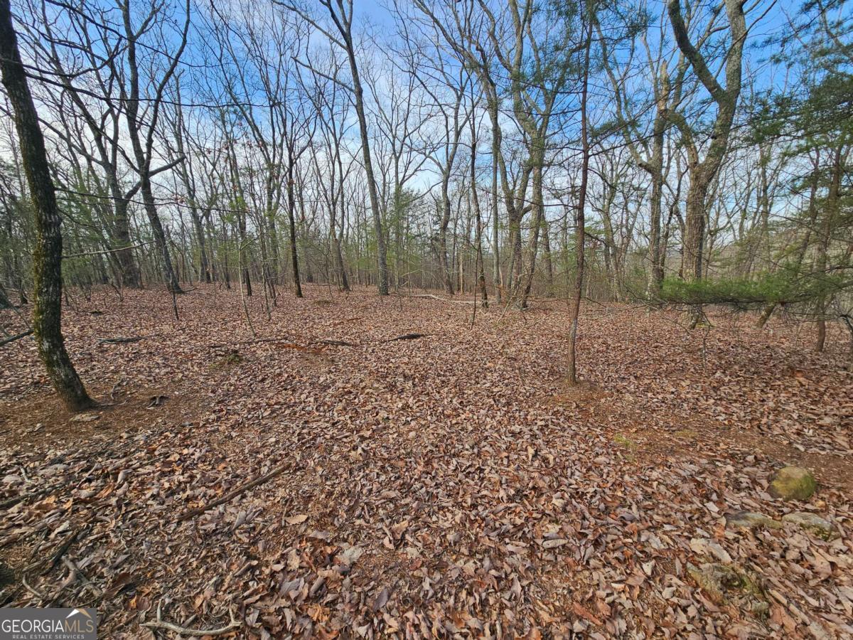 0 Old Federal Road Property Photo 26