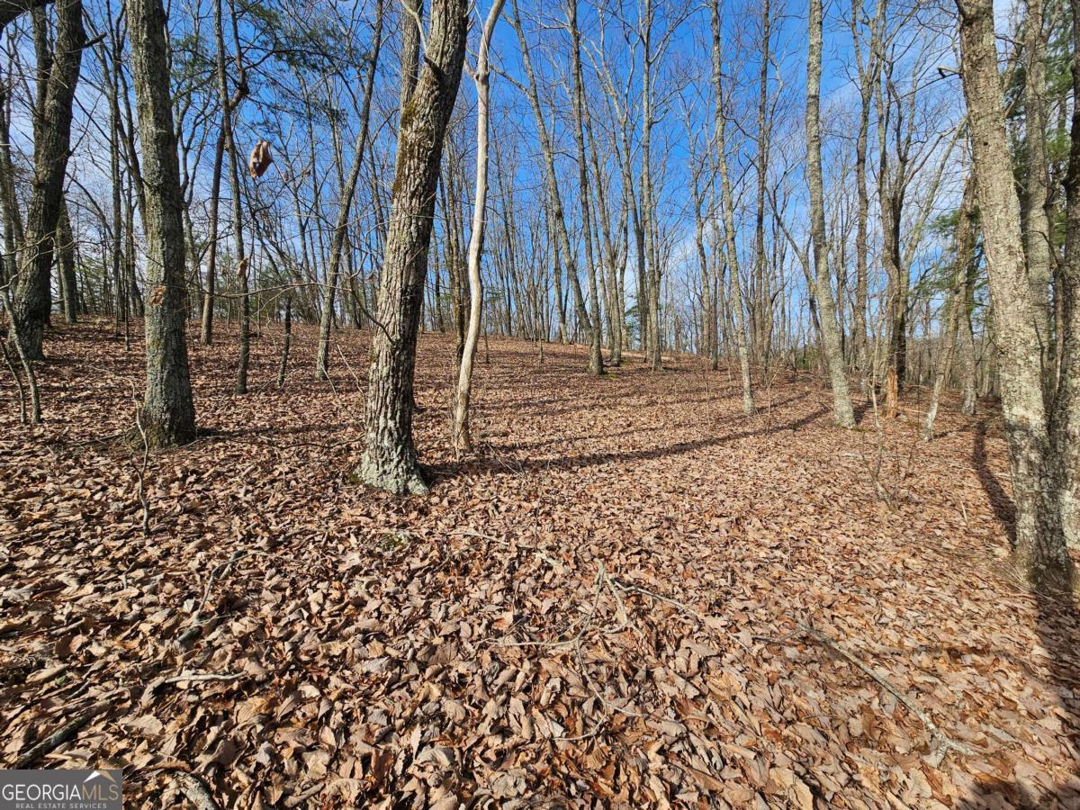 0 Old Federal Road Property Photo 27