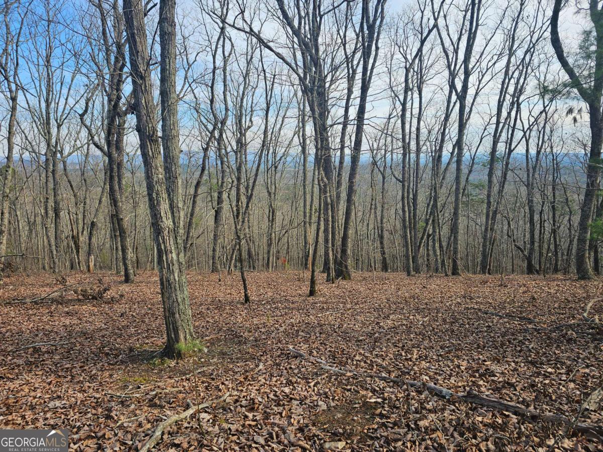 0 Old Federal Road Property Photo 28
