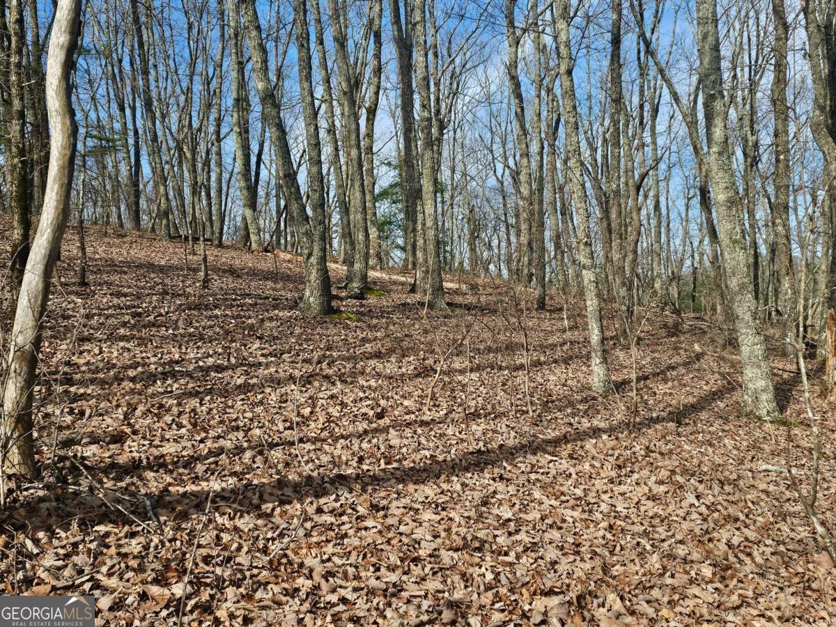 0 Old Federal Road Property Photo 31