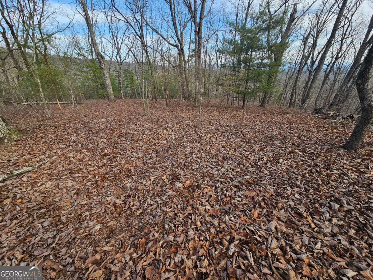 0 Old Federal Road Property Photo 32
