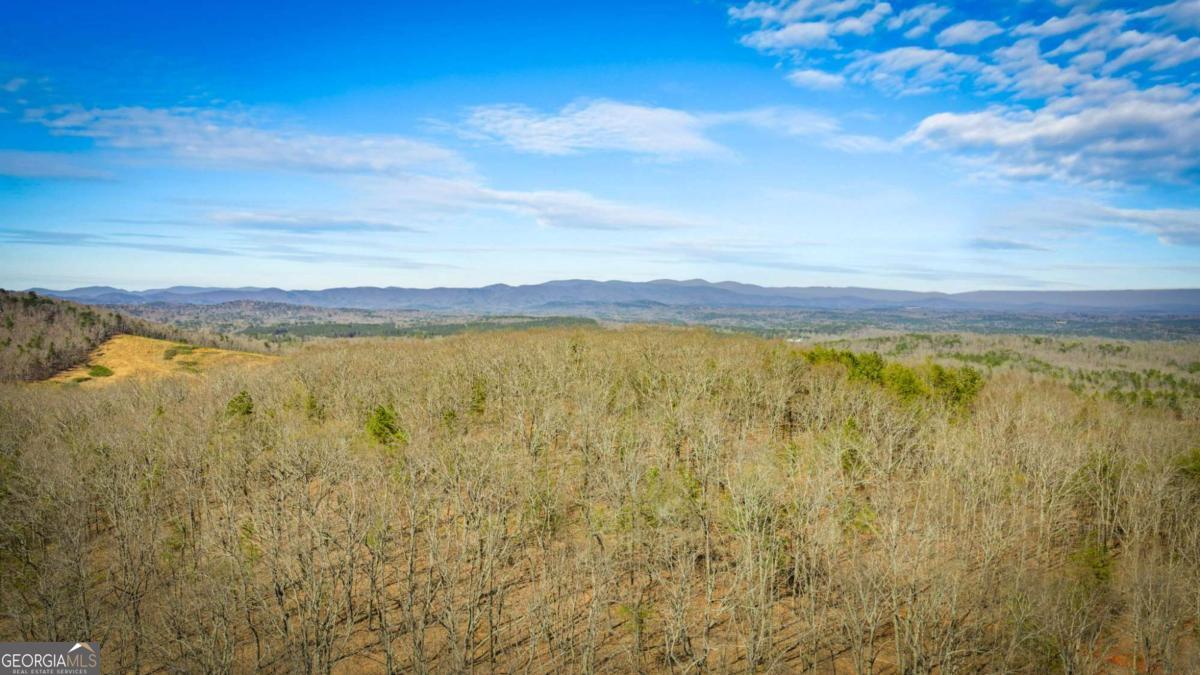 0 Old Federal Road Property Photo 41