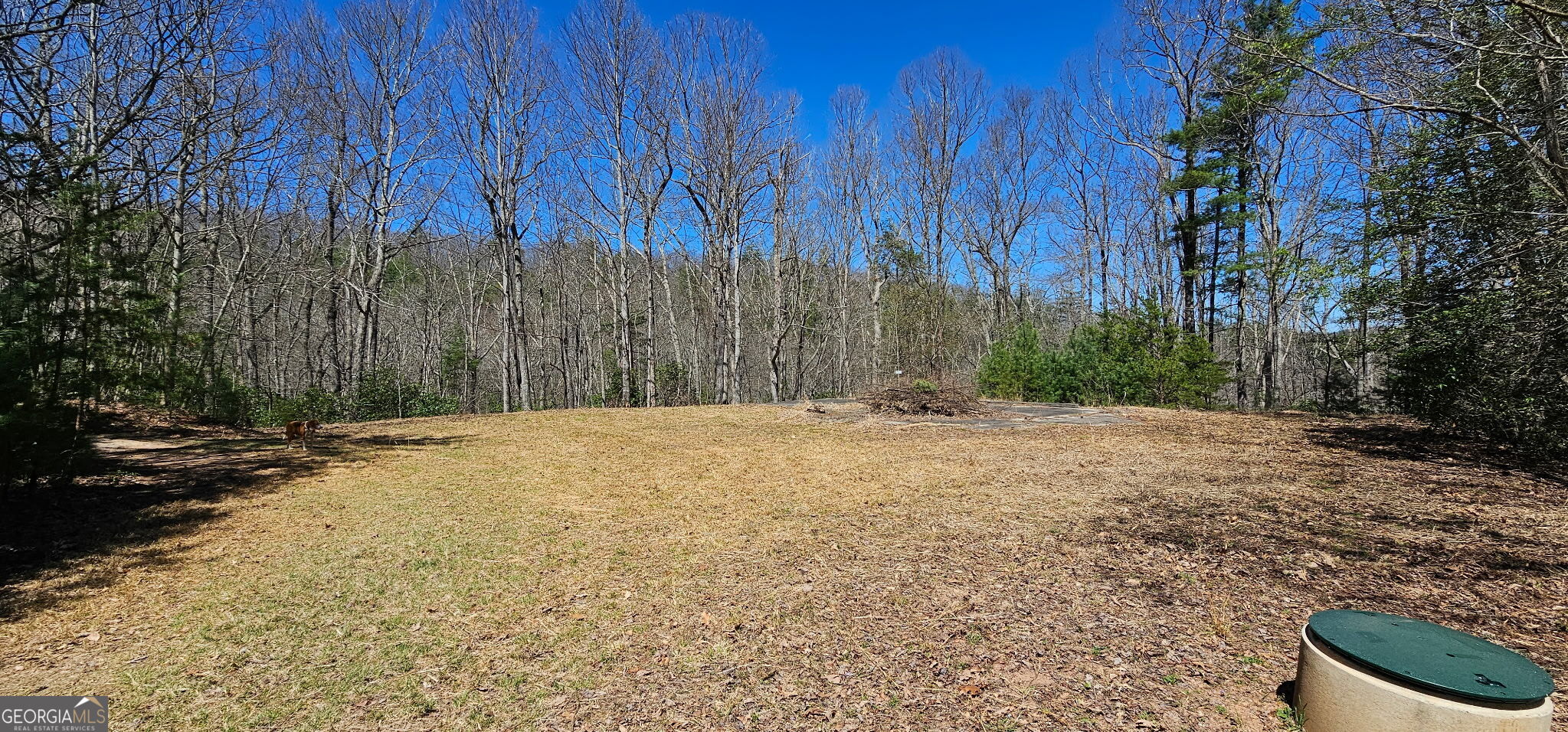 457 Youngblood Drive Property Photo 3