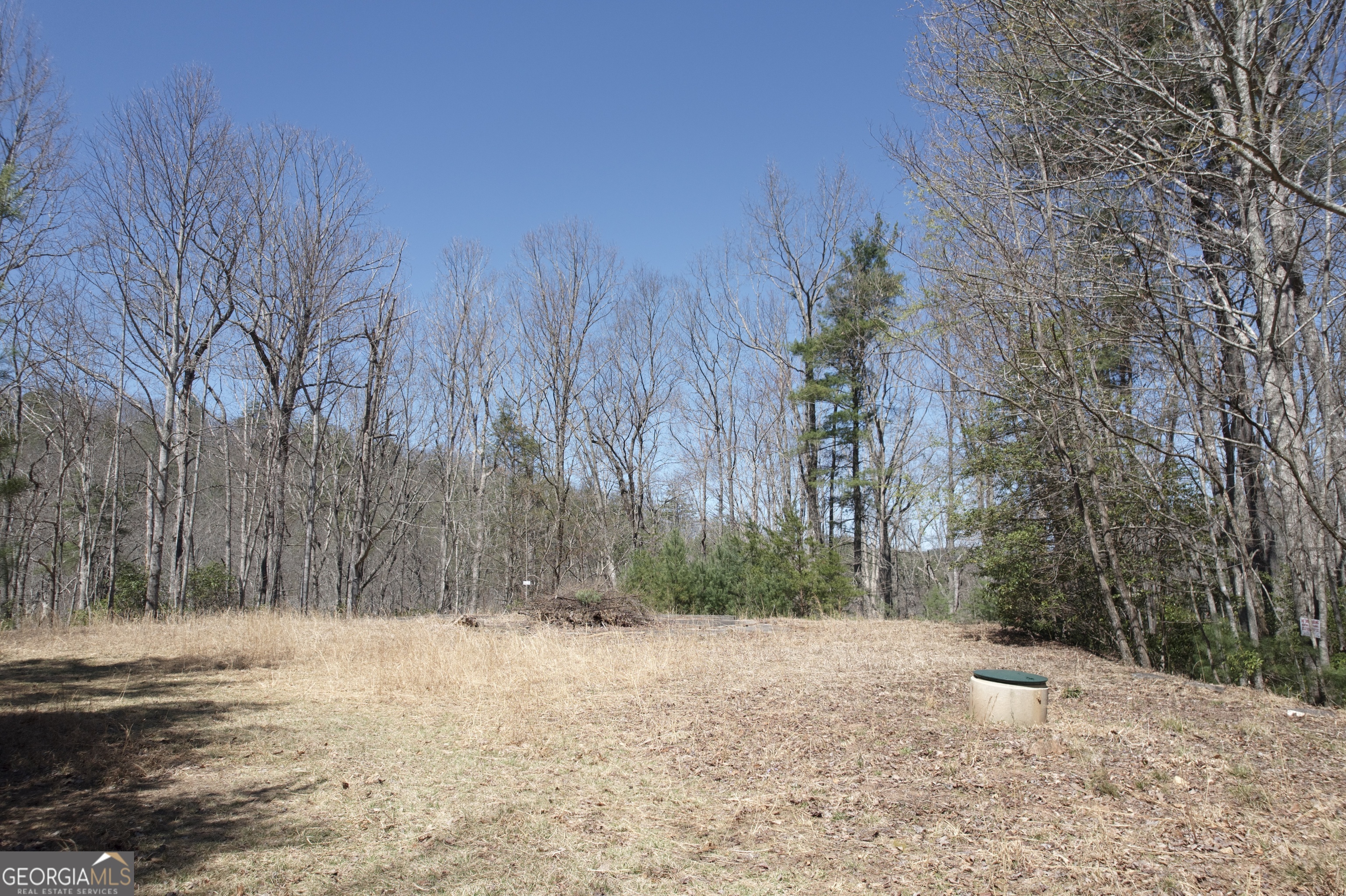 457 Youngblood Drive Property Photo 5