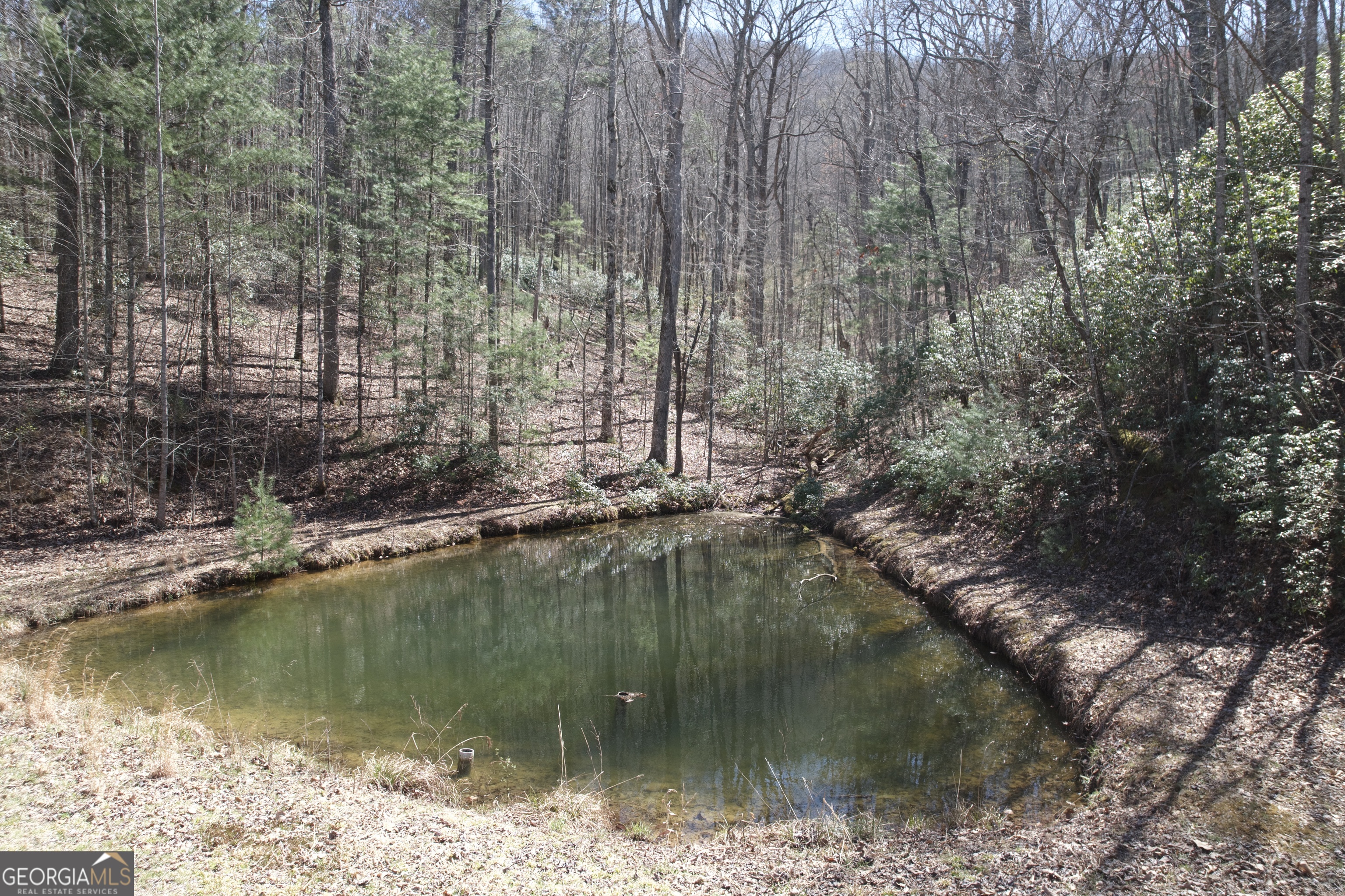 457 Youngblood Drive Property Photo 12